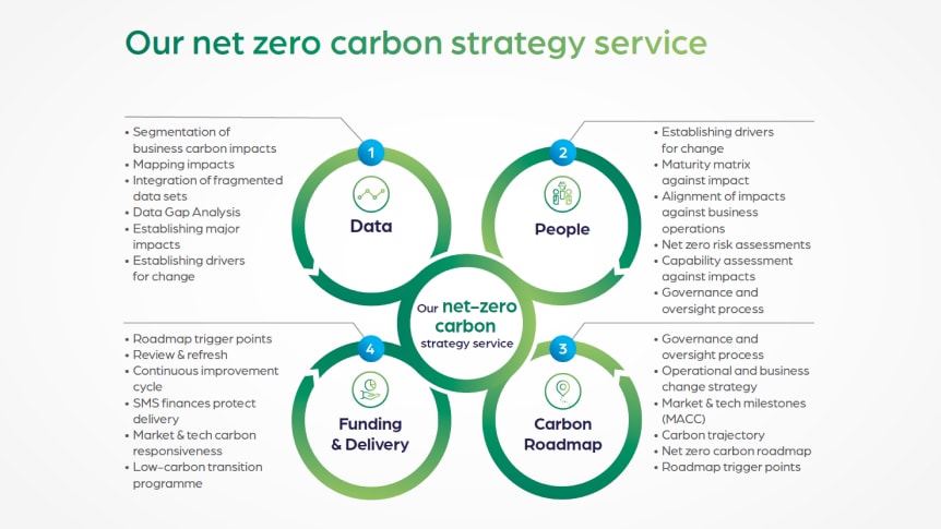 What does a net-zero carbon strategy look like?