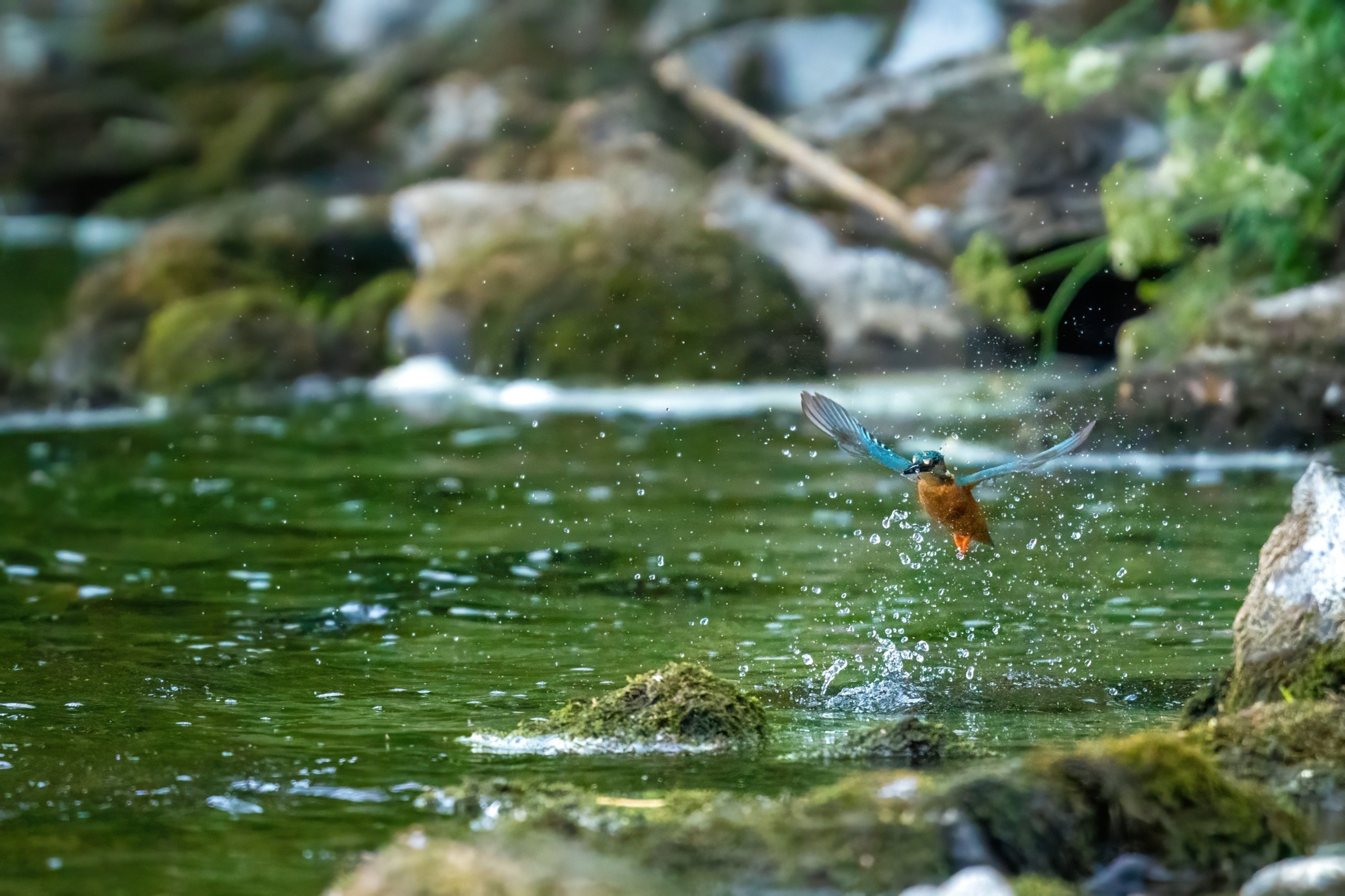 Joining the Institute of Water: collaborating for a sustainable future